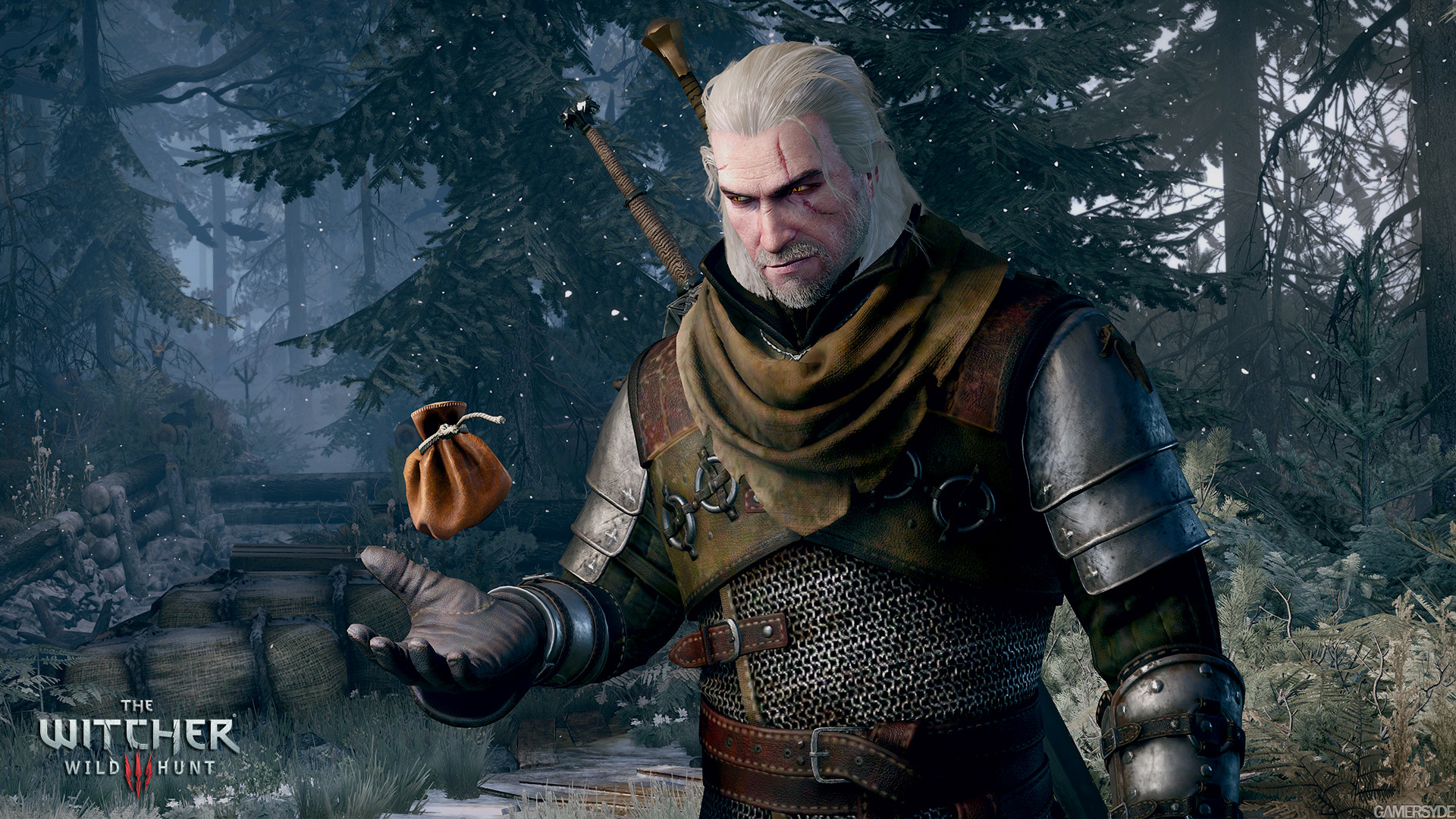 image_the_witcher_3_wild_hunt-27433-2651_0003