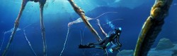 Subnautica