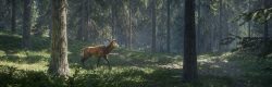 theHunter: Call of the Wild