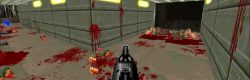 Brutal Doom