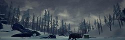 The Long Dark