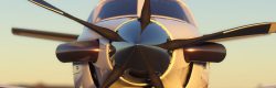 Microsoft Flight Simulator