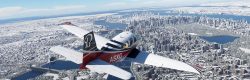 Microsoft Flight Simulator