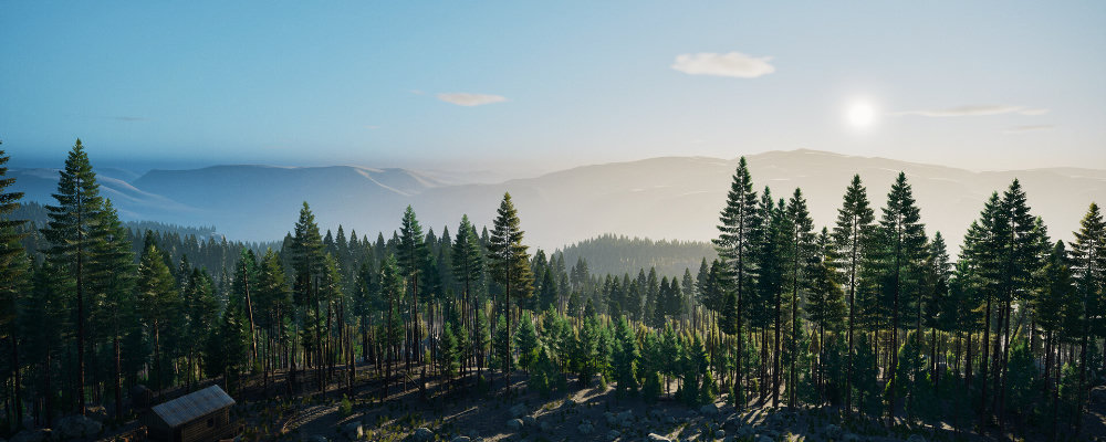 Prologue: Go Wayback!